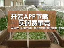 环境展示五