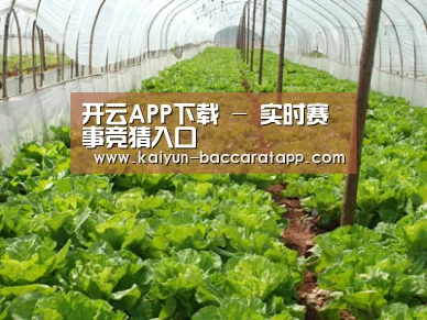 种植基地五