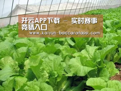 种植基地一