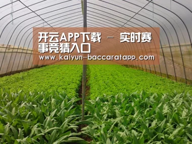 种植基地四
