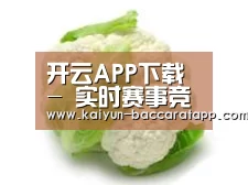 产品名称九