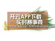 产品名称二