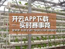 环境展示六