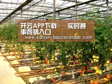 种植基地二(图1)