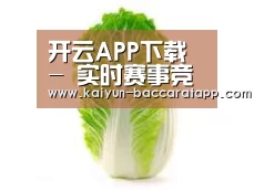 产品名称一(图1)