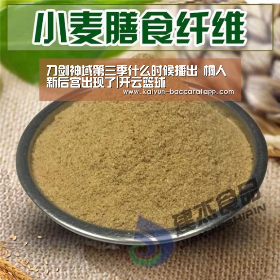 刀剑神域第三季什么时候播出 桐人新后宫出现了|开云篮球(图2) 开云赛事