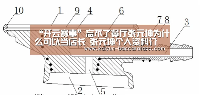 开云体育