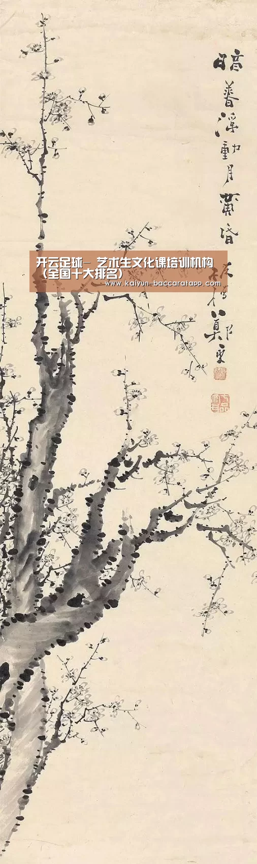 开云足球-
艺术生文化课培训机构(全国十大排名)(图2) 开云赛事